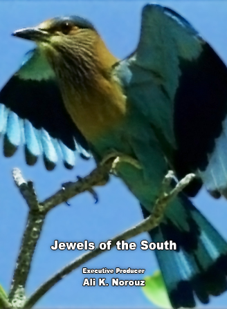 Jewels of the South